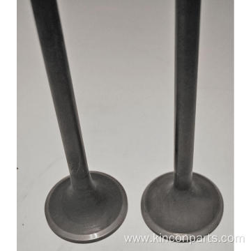 Engine Valves JC190